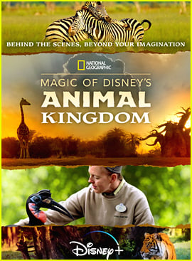 Disney+ To Take Fans Behind-The-Scenes of Walt Disney World's Animal Kingdom In New Docu-Series