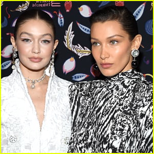 Bella Hadid Jokes That Gigi Hadid Isn't The Only One With a Bun In The Oven