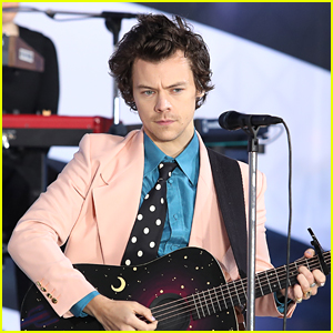 Harry Styles Might Not Be Hitting The Stage For a Very Long Time