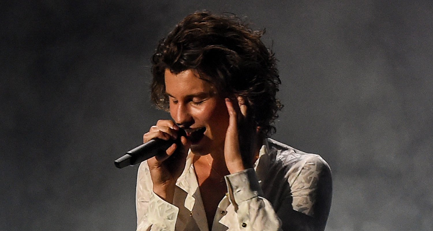 Shawn Mendes Wows With ‘Wonder’ Performance at American Music Awards(00)