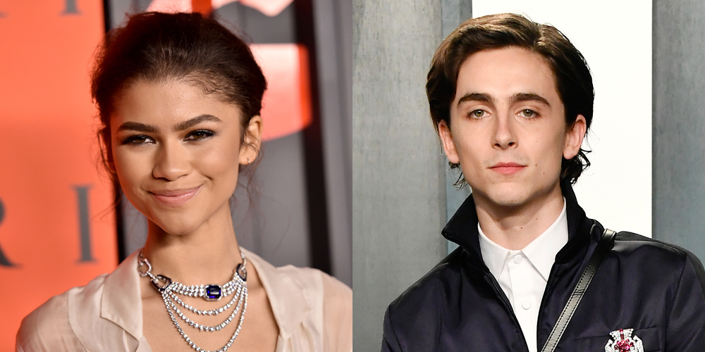 Zendaya Wishes Happy Birthday to 'One of the Coolest MF on the Planet' Timothee Chalamet