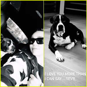 Miley Cyrus Reveals Her Beloved Dog Mary Jane Has Passed Away