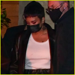 Demi Lovato Heads Out to Dinner with Friends in Malibu