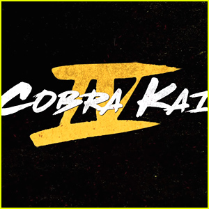 'Cobra Kai' Season 4 Teases Return of This 'Karate Kid 3' Character!