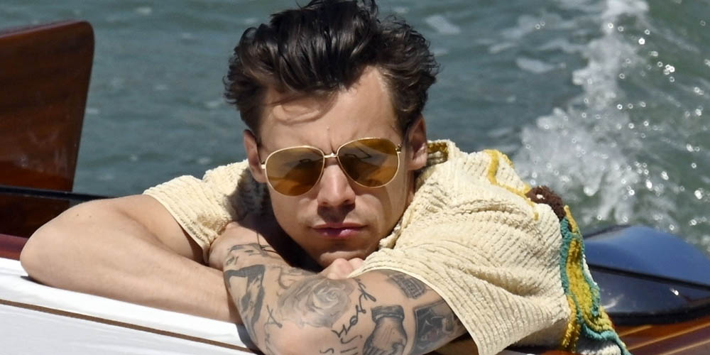 harry styles sun