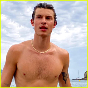 Shawn Mendes Sends Fans Into Frenzy With New Shirtless Photos