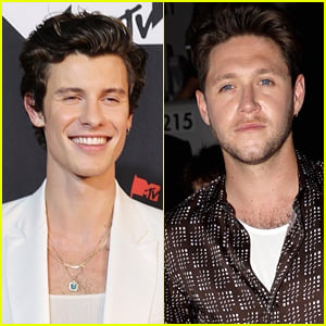Are Shawn Mendes & Niall Horan Going To Finally Collab??