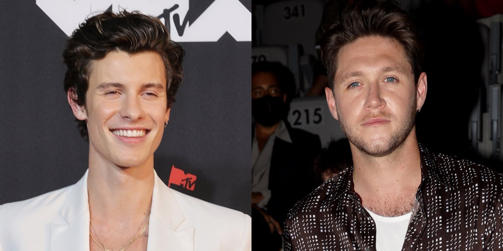 Are Shawn Mendes & Niall Horan Going To Finally Collab?? Music, Niall