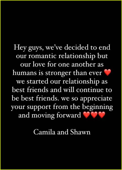 Shawn Camila split