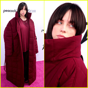 Billie Eilish Rocks Her New Look on the Red Carpet!