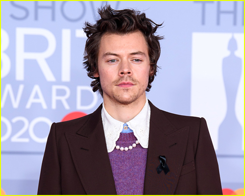 Harry Styles Net Worth