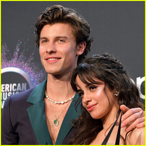 Shawn Mendes & Camila Cabello Spotted Hanging Out in Miami