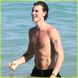 Shawn Mendes Shows Off His Shirtless Bod at the Beach In Miami (Photos)