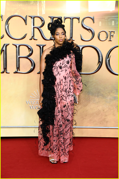Jessica Williams at the Fantastic Beasts 3 premiere