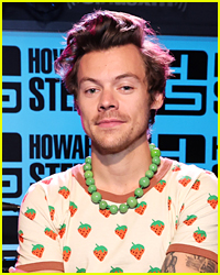 Did Harry Styles Fall For Olivia Wilde On 'Don't Worry Darling' Set?