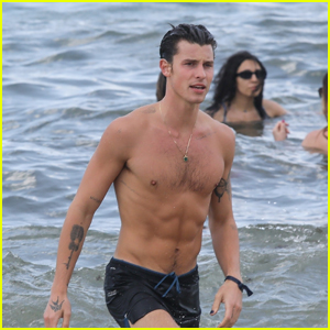 Shawn Mendes Makes a Splash During a Day at the Beach in Miami