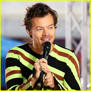 Harry Styles Talks Having a Work/Life Balance: 'Working Is Not Everything About Who I Am'