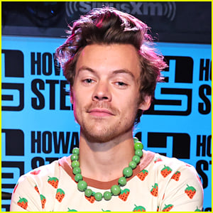 Harry Styles Responds to Queerbaiting Accusations