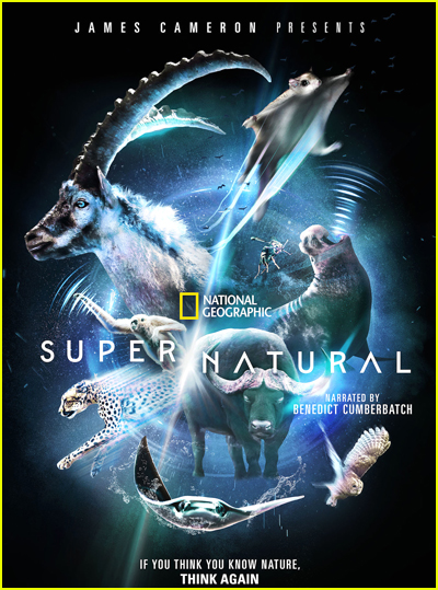 Super/Natural gets Disney+ premiere date