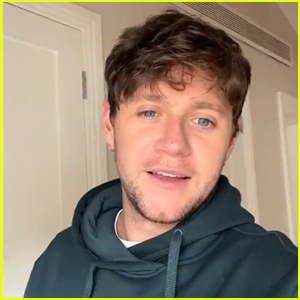 Niall Horan Gives Fan a New Update, Teases New Music, Festivals & More!
