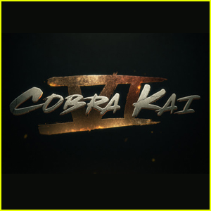'Cobra Kai' to End with 'Biggest, Baddest' 6th & Final Season
