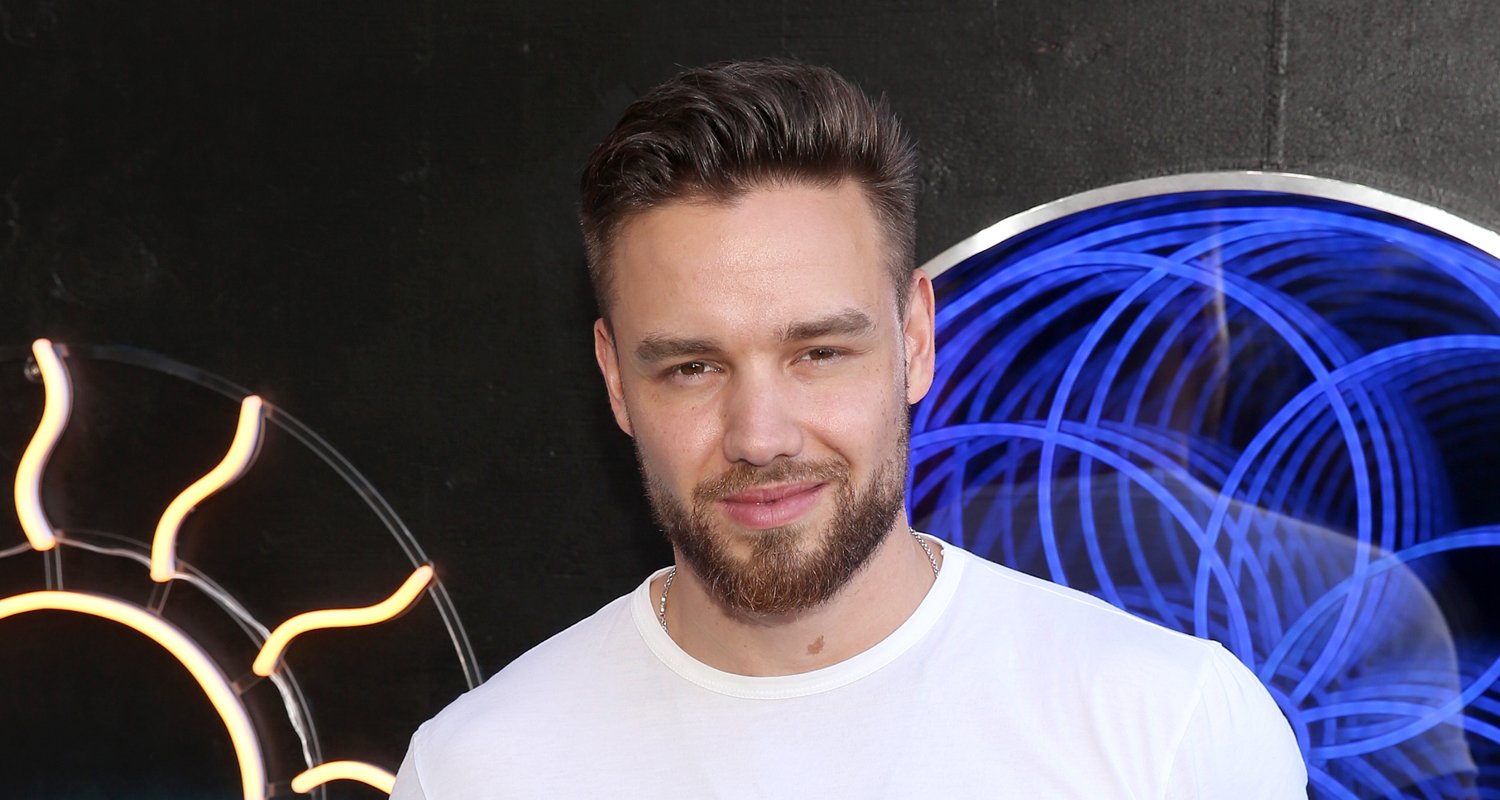 Exploring The Musical Journey Of Liam Payne: From One Direction To Solo ...