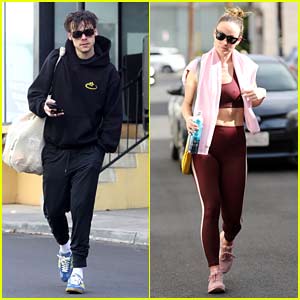 Harry Styles and Olivia Wilde Wearing Matching Outfits in LA