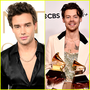 Liam Payne Sends His Congrats to 1D Bandmate Harry Styles After Grammy Wins