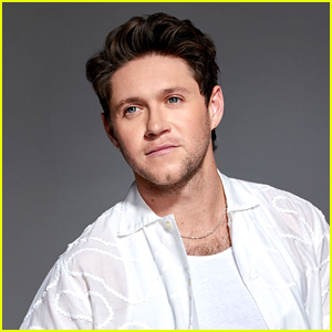 Niall Horan Reveals 1 Thing He Doesn't Like About Being on 'The Voice'