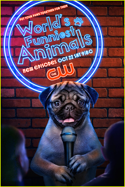 World's Funniest Animals series poster