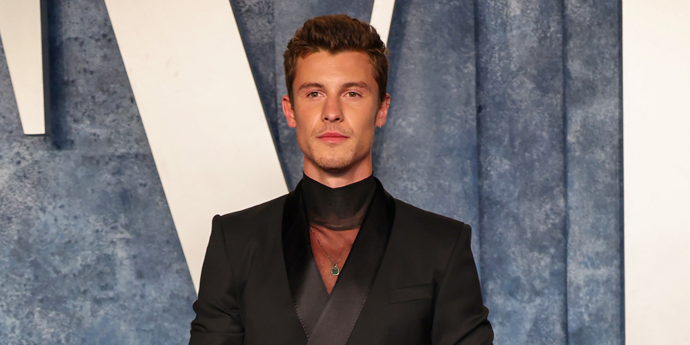 Shawn Mendes Contributes a Song to ‘Butterfly Tale’ Soundtrack, Movie