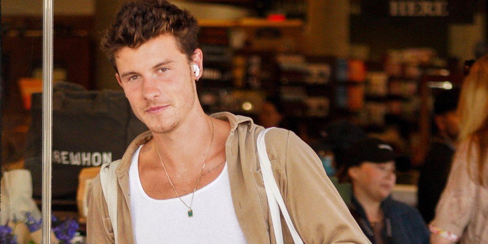Shawn Mendes Goes Casual For A Grocery Run at His Local Store Shawn