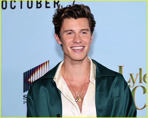 Shawn Mendes talks meaning behind new song 