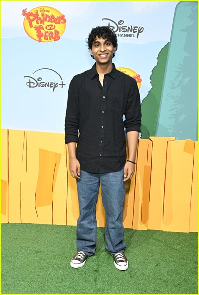 celebs at the Phineas and Ferb premiere